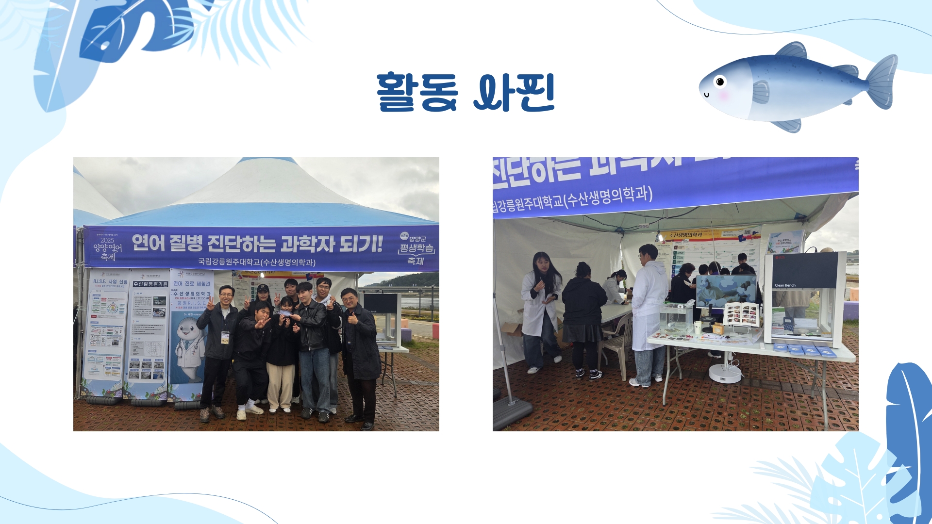 '2025 양양연어축제' 연어 질병 진단 체험부스 운영 대표이미지