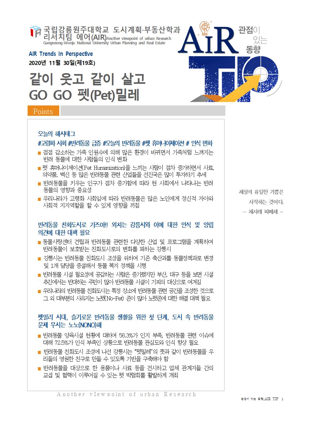 AIR 19호 대표이미지